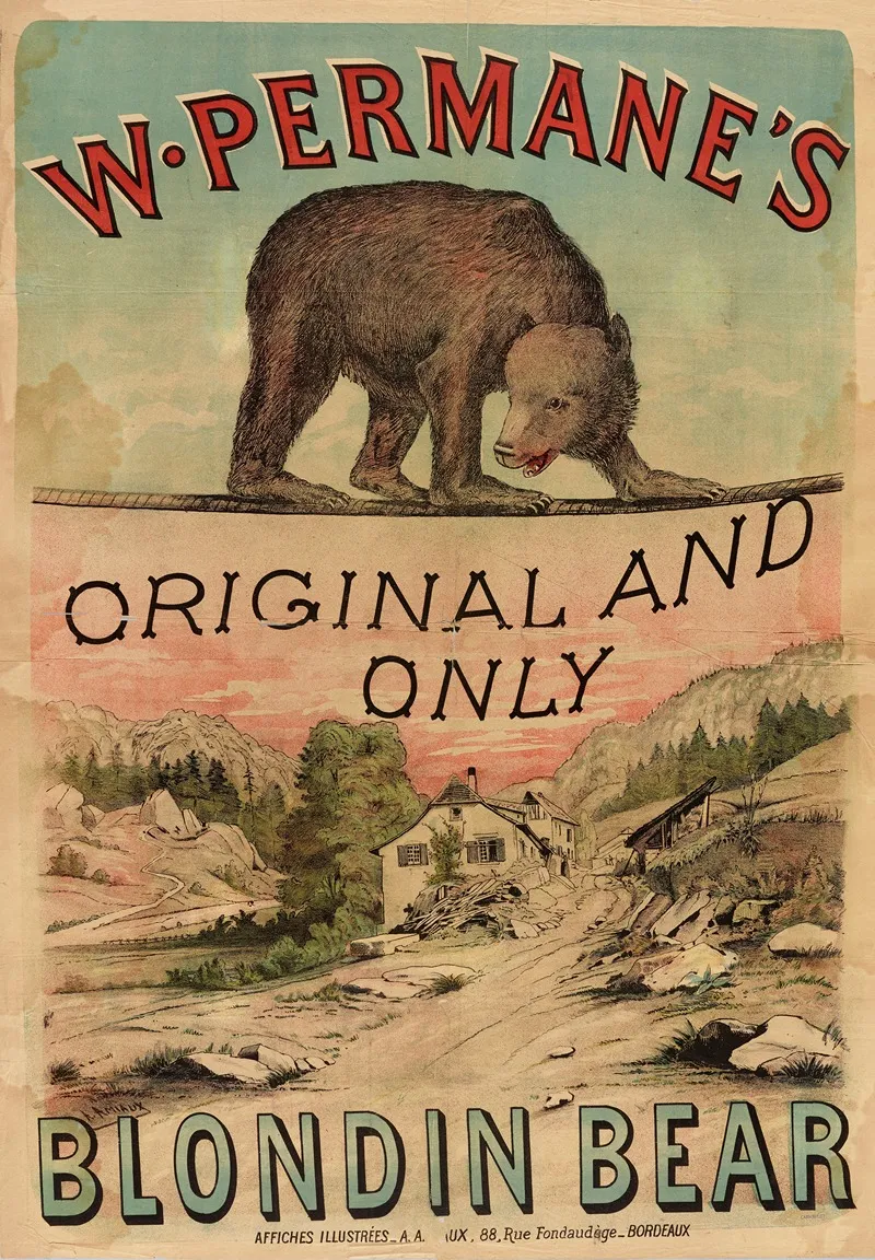 W Permanes Original And Only Blondin Bear Wall Art by A. Amiaux - High-Resolution Digital Print