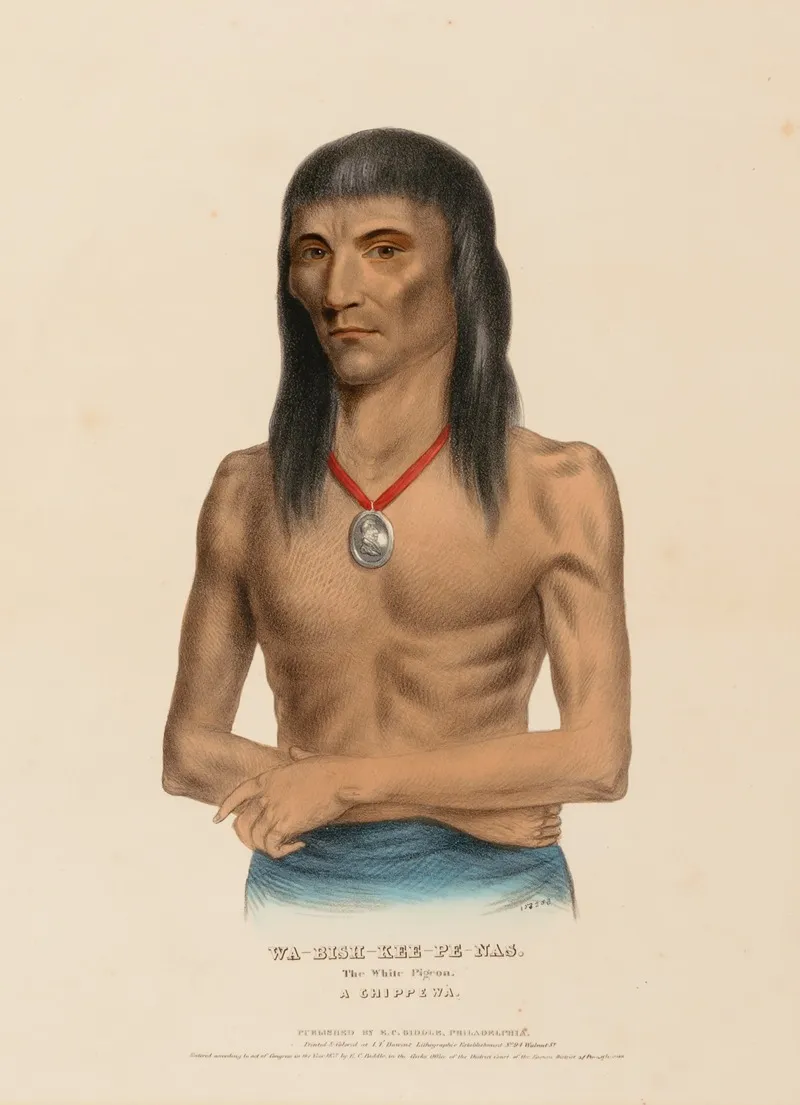 Wa Bish Kee Pe Nas The White Pigeon A Chippewa