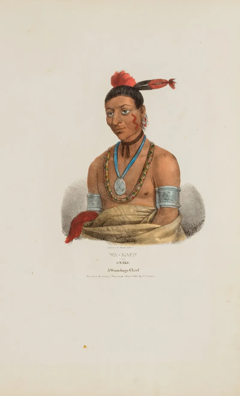 Wa Kaun Or The Snake A Winnebago Chief