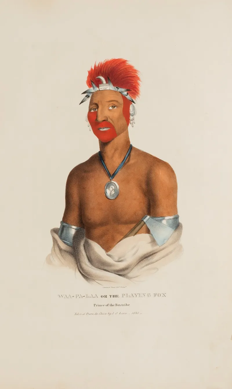 Waa Pa Laa Or The Playing Fox Prince Of The Fox Tribe