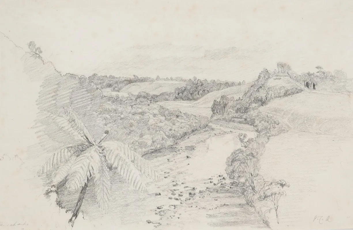 Waiwakaiho River Taranaki Looking Up From Richardsons