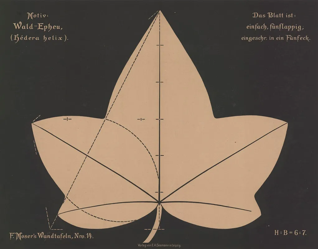 Wald Epheu Hedera Helix Wall Art by Ferdinand Moser - High-Resolution Digital Print