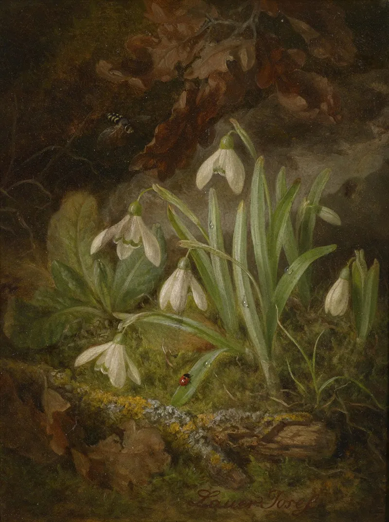 Waldbodenstuck Mit Schneeglockchen Wall Art by Josef Lauer - High-Resolution Digital Print