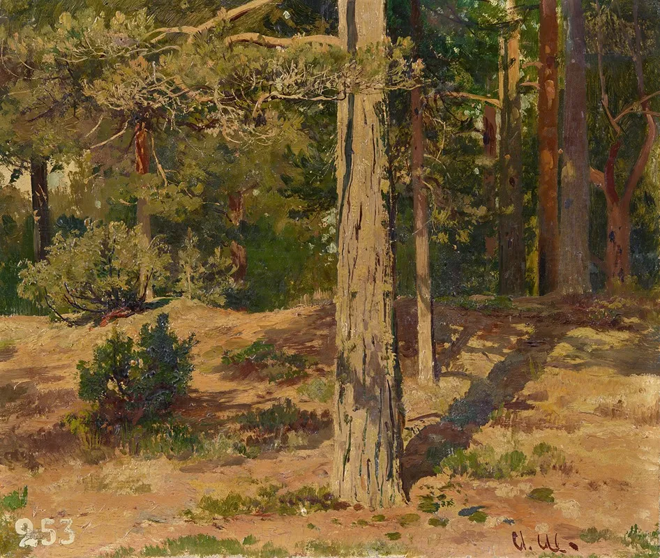 Landscape