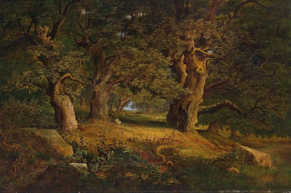Waldlandschaft 5