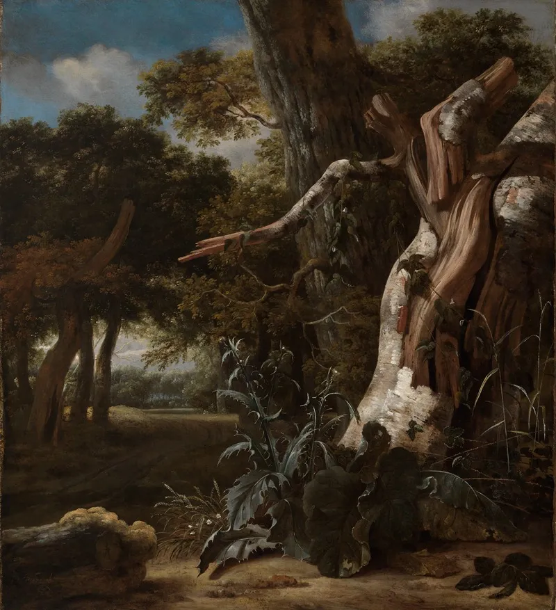 Waldlandschaft Mit Einer Vom Blitz Getroffenen Buche Wall Art by Jan Van Kessel The Elder - High-Resolution Digital Print