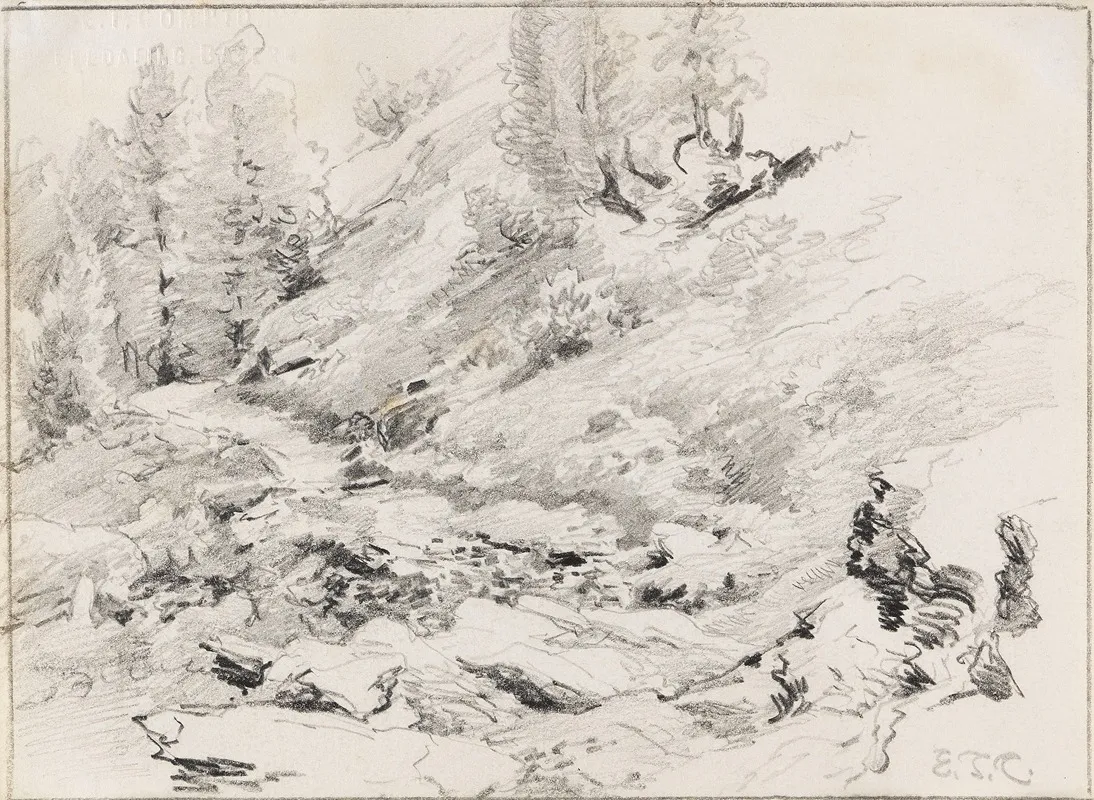 Waldskizze Mit Felsformation