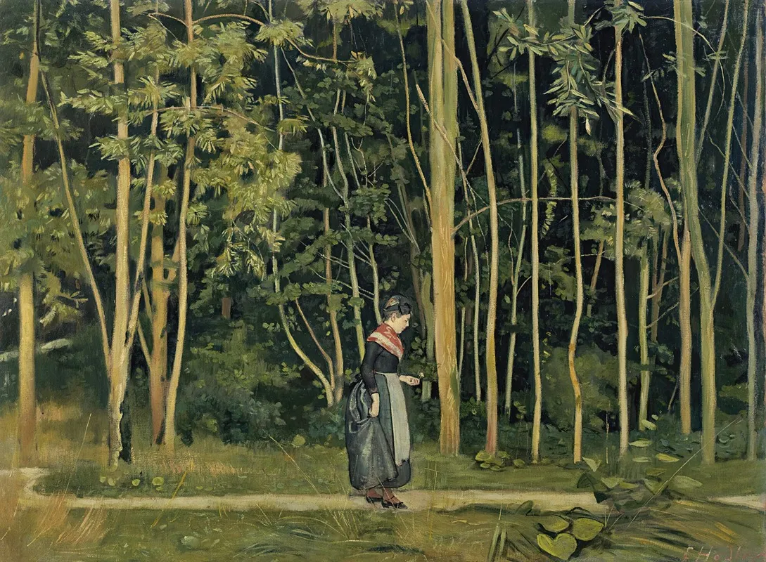 Walk Along The Border Of A Wood