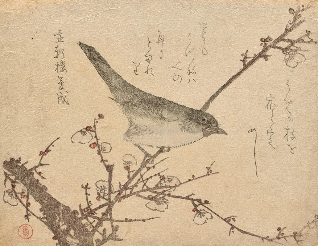 Warbler On Plum Branch
