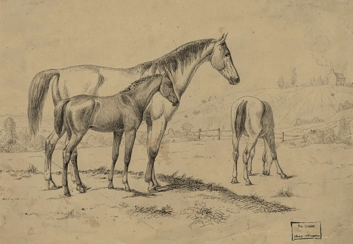 Washington City North Of Capitol In 1839
