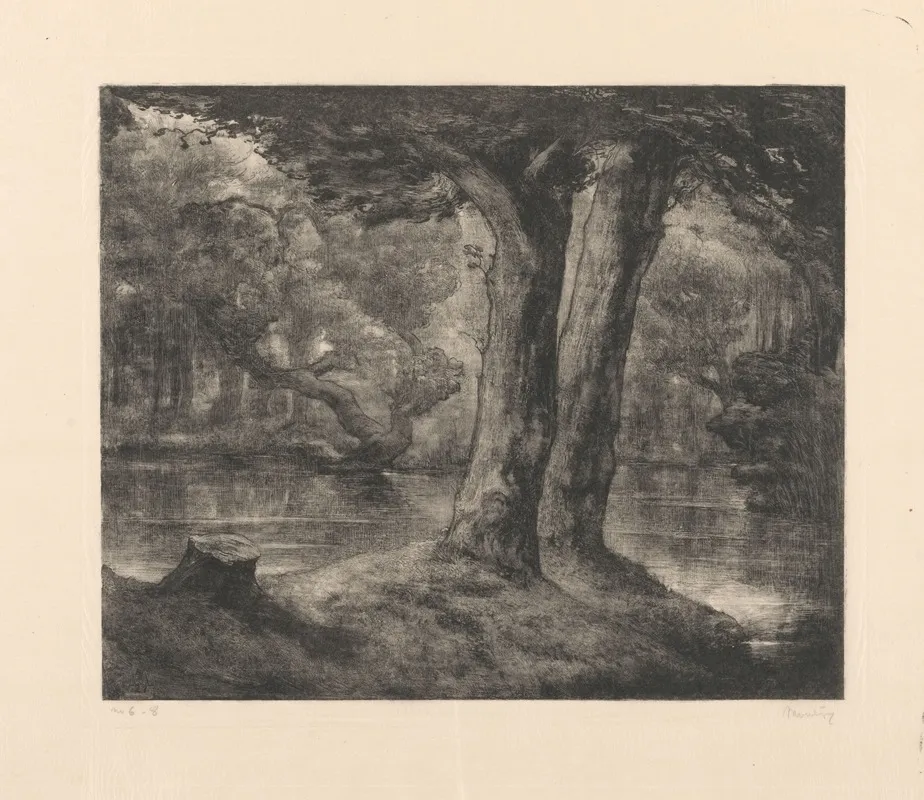 Water In Een Bos