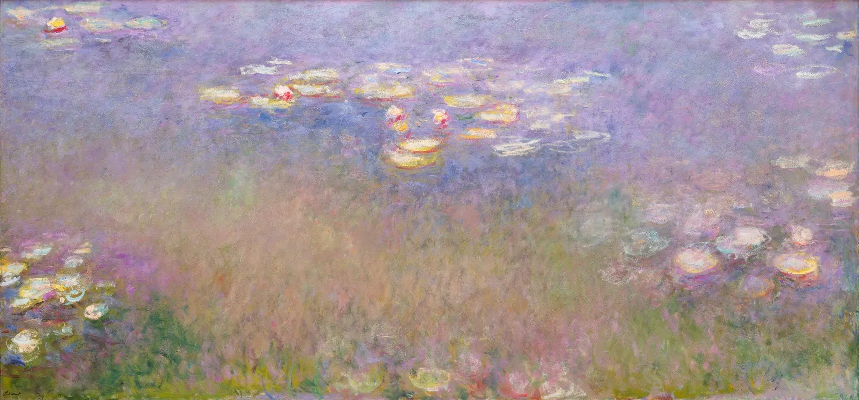 Water Lilies 3