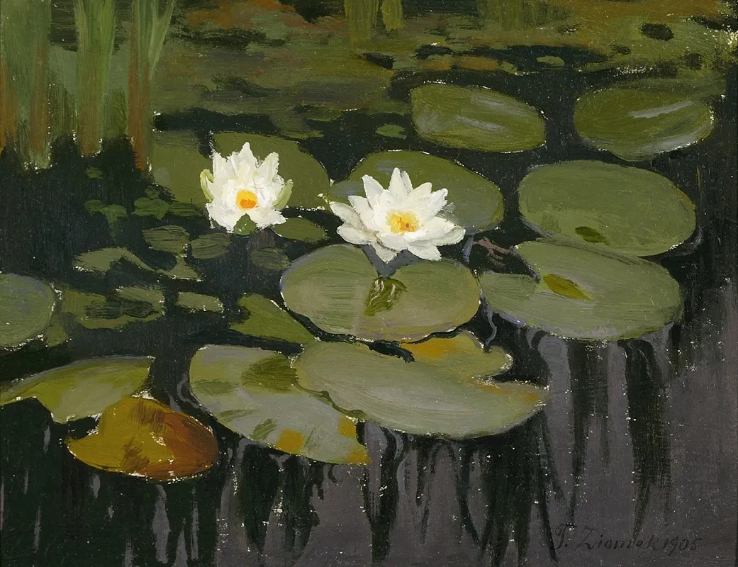 Water Lilies 6
