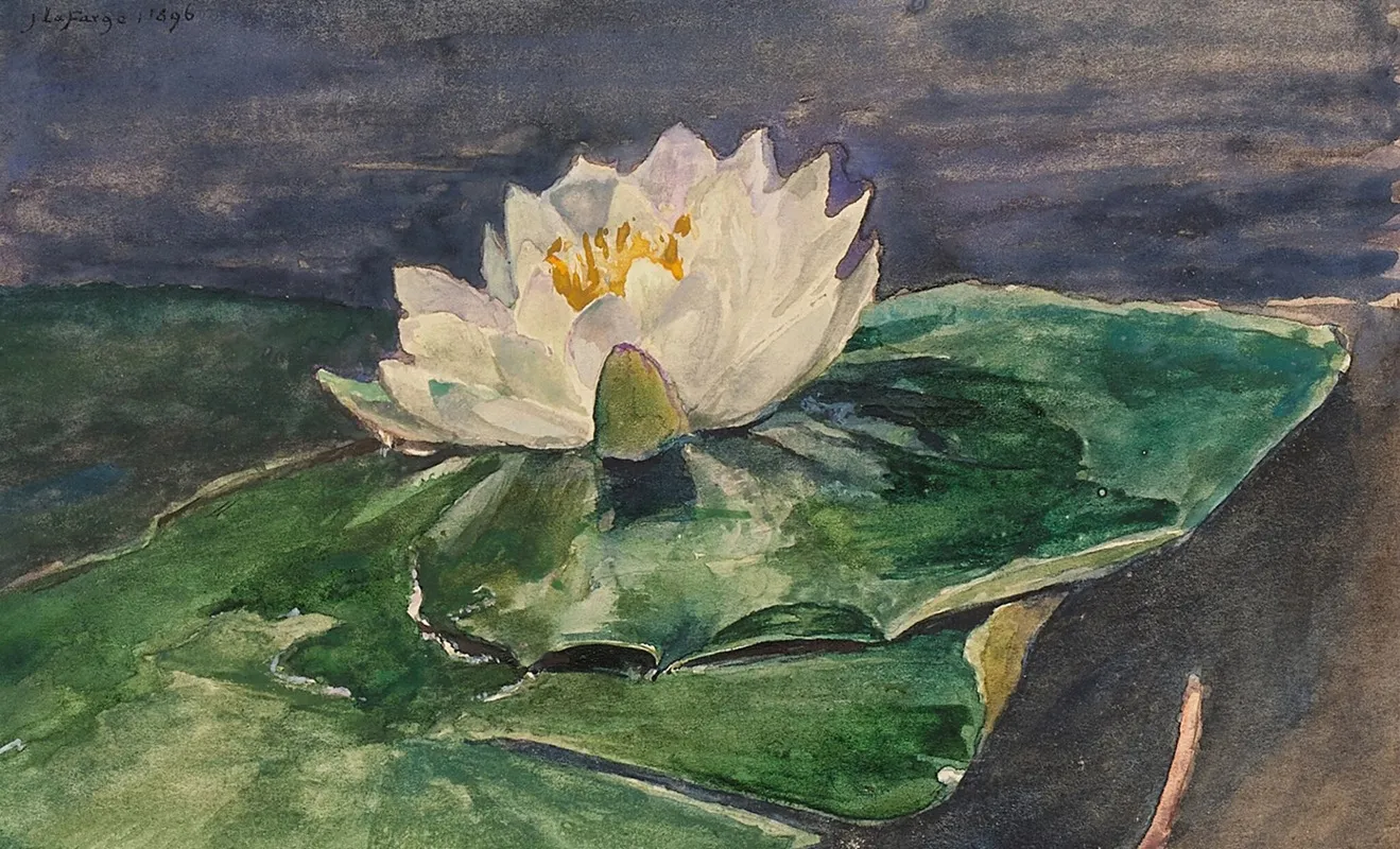 Water Lily 5 Wall Art by John La Farge - High-Resolution Digital Print