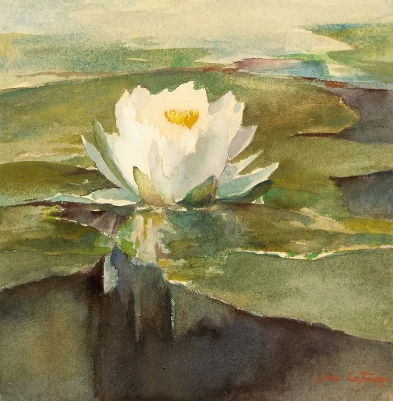 Water Lily In Sunlight Wall Art by John La Farge - High-Resolution Digital Print