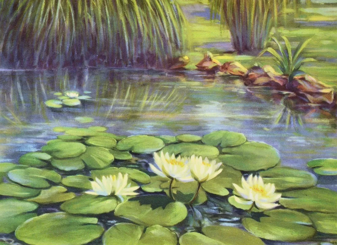 Water Lily Wall Art by Lafayette F. Cargill - High-Resolution Digital Print