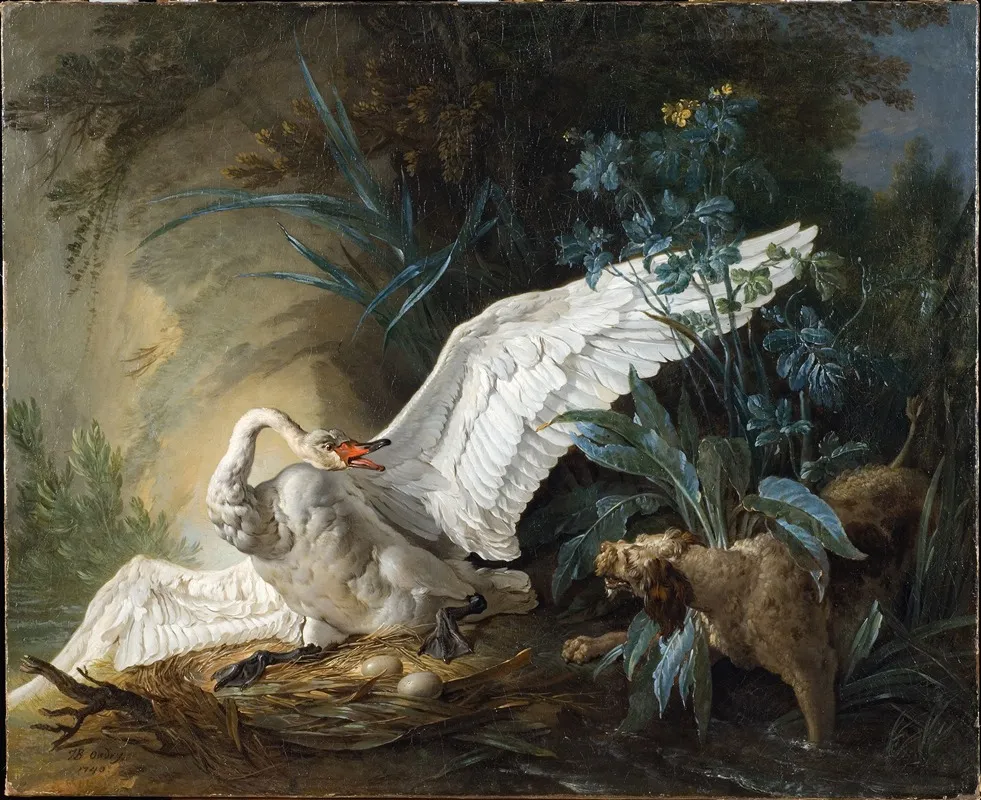 Water Spaniel Surprising A Swan On Its Nest