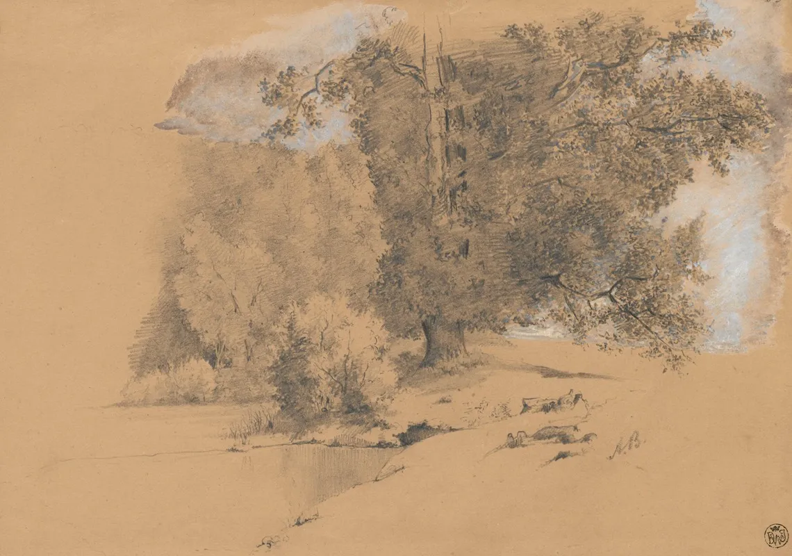 Waterside Trees