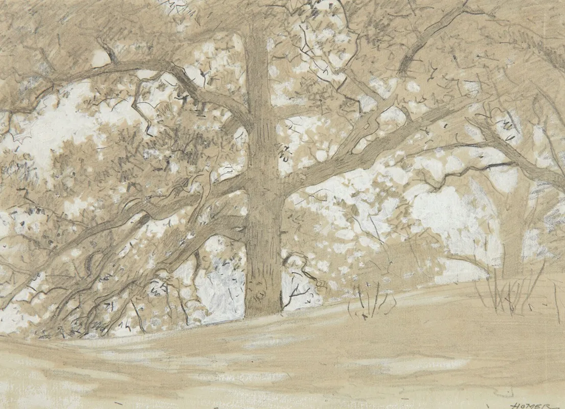 Waverly Oaks