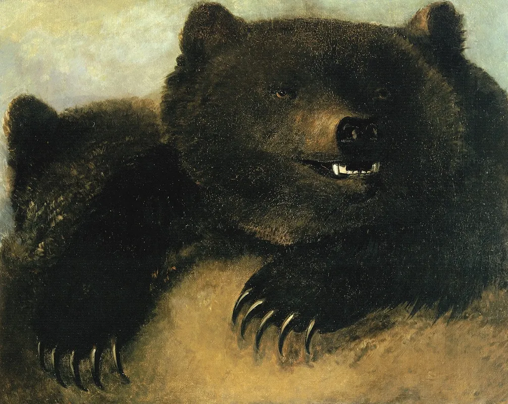 Weapons And Physiognomy Of The Grizzly Bear