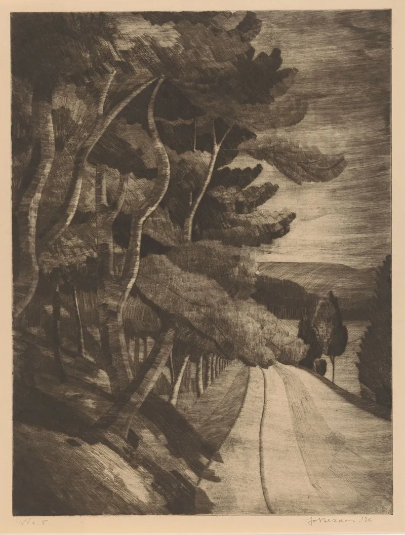 Weg Langs Bosrand