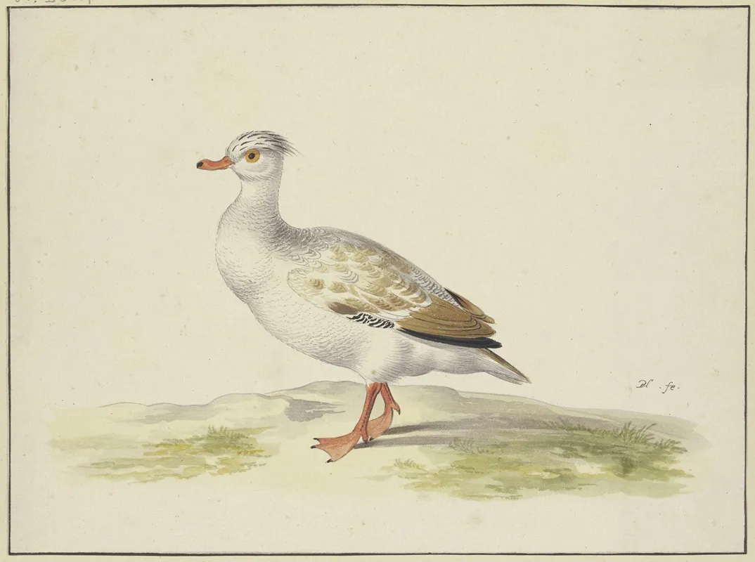 Weise Ente Mit Braunen Flugeln Roten Fusen Und Schnabel Wall Art by Pieter Holsteijn - High-Resolution Digital Print