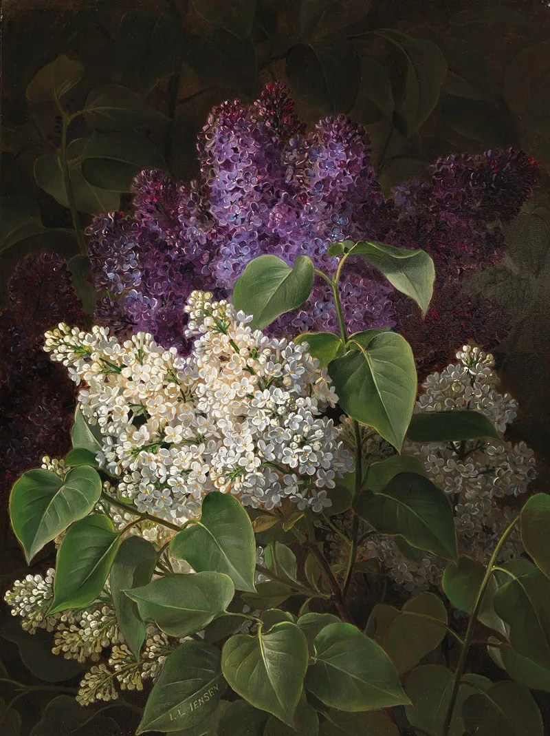 Weiser Und Violetter Flieder Wall Art by Johan Laurentz Jensen - High-Resolution Digital Print