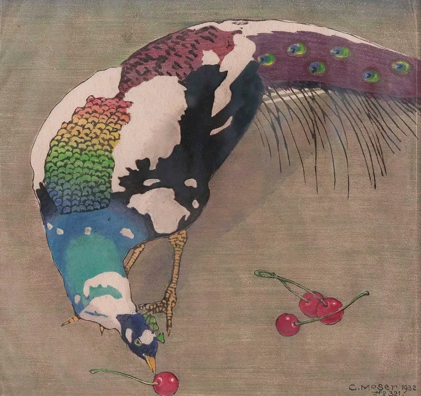 Weisgefleckter Pfau