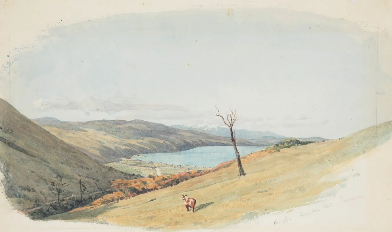 Wellington Thorndon Flat Tararua