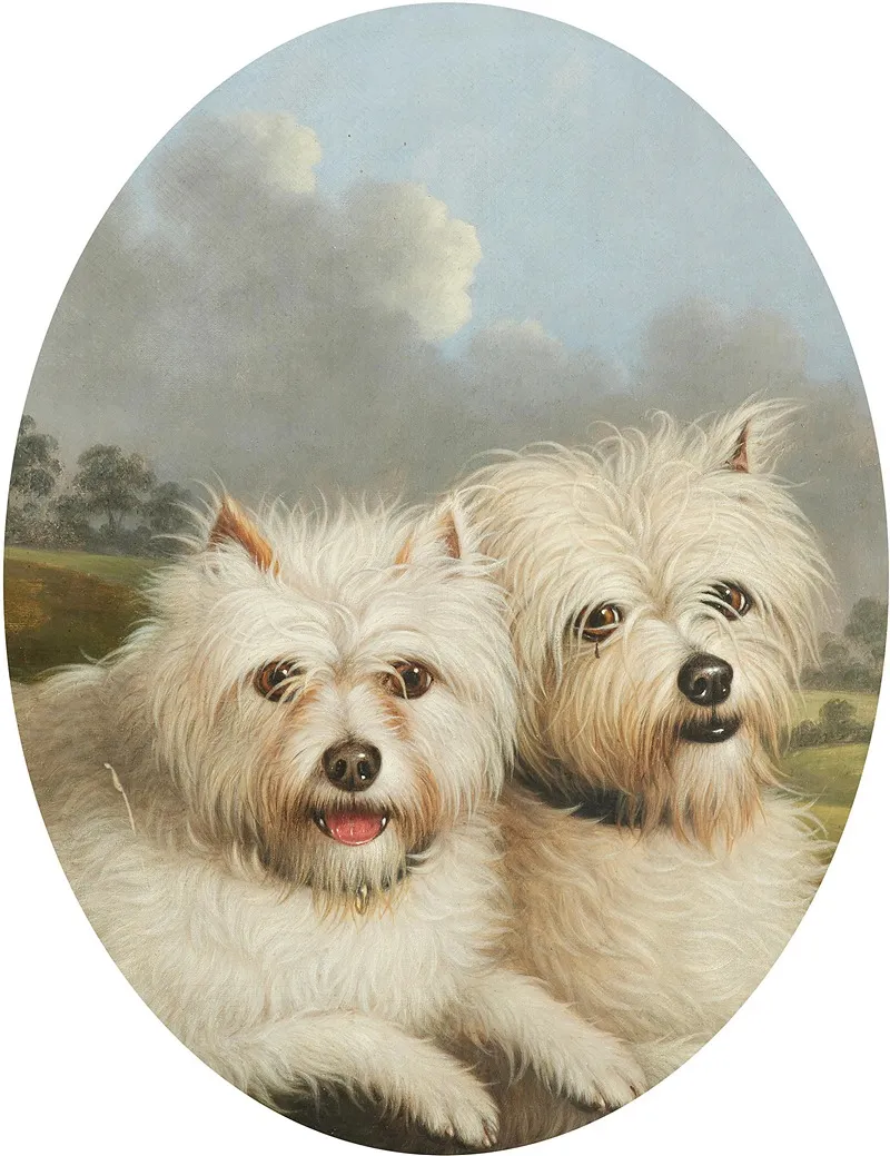 West Highland Terriers Wall Art by George Stevens - High-Resolution Digital Print