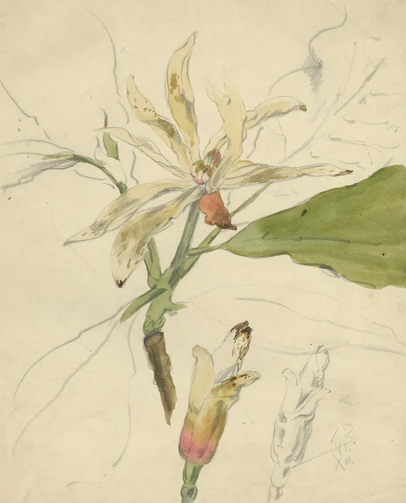 Westerse Magnolier Wall Art by Alfred Ost - High-Resolution Digital Print
