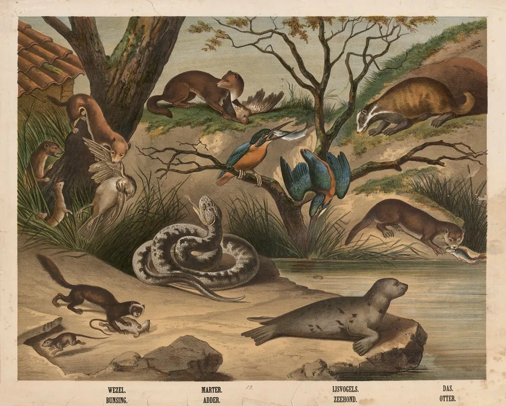 Wezel Bunsing Marter Adder Listvogels Zeehond Das Otter Wall Art by Hendrik Jan van Lummel - High-Resolution Digital Print