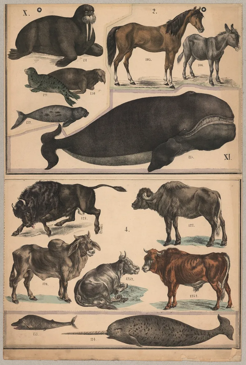 Whales And Oxen Wall Art by P.T. Malling - High-Resolution Digital Print