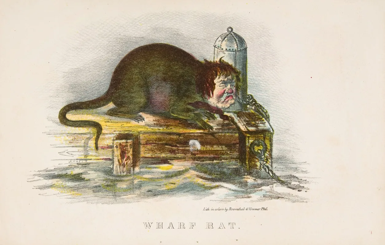 Wharf Rat