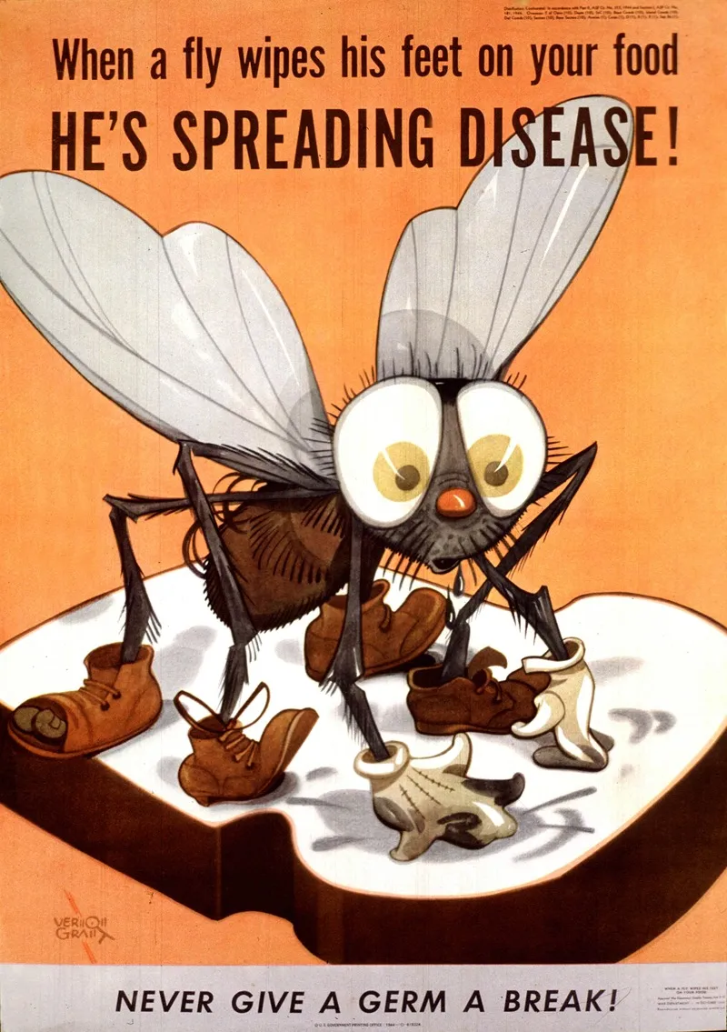 When A Fly Wipes His Feet On Your Food Hes Spreading Disease