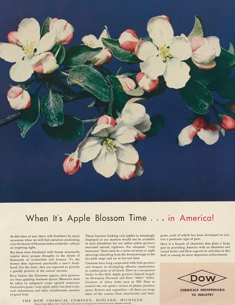 When Its Apple Blossom Time In America