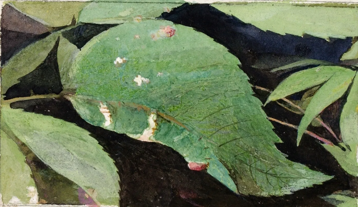 White Birch Leaf Edge Caterpillar Wall Art by Emma Beach Thayer - High-Resolution Digital Print