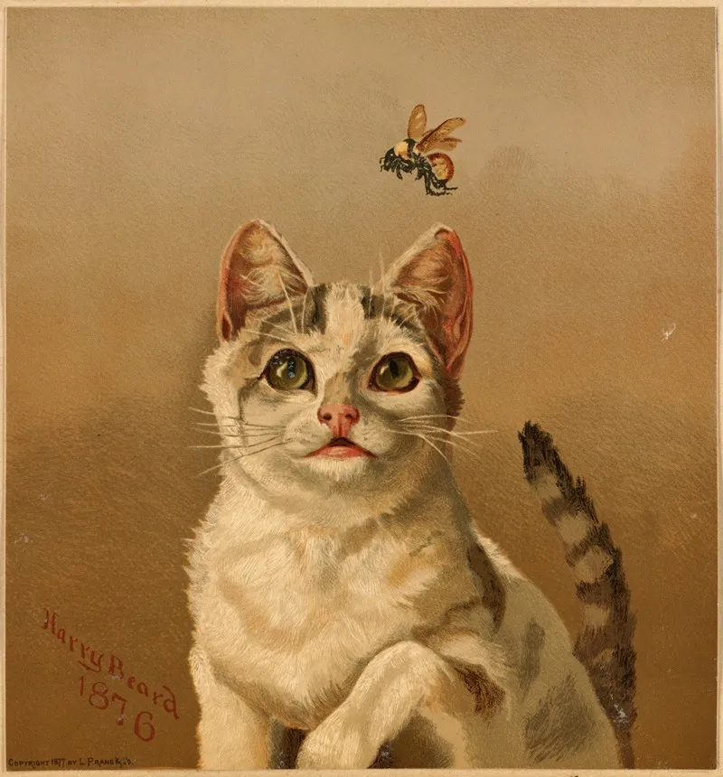 White Cat With Bee Wall Art by Harry Beard - High-Resolution Digital Print