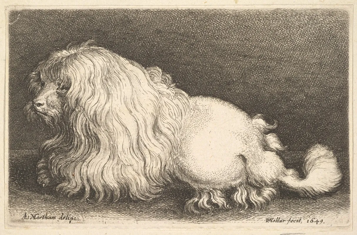 White Dog