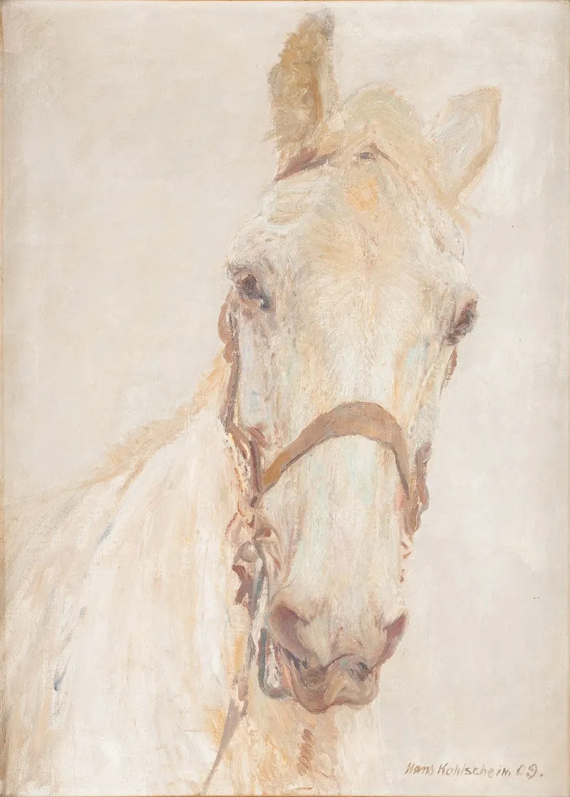 White Horse 2 Wall Art by Hans Kohlschein - High-Resolution Digital Print