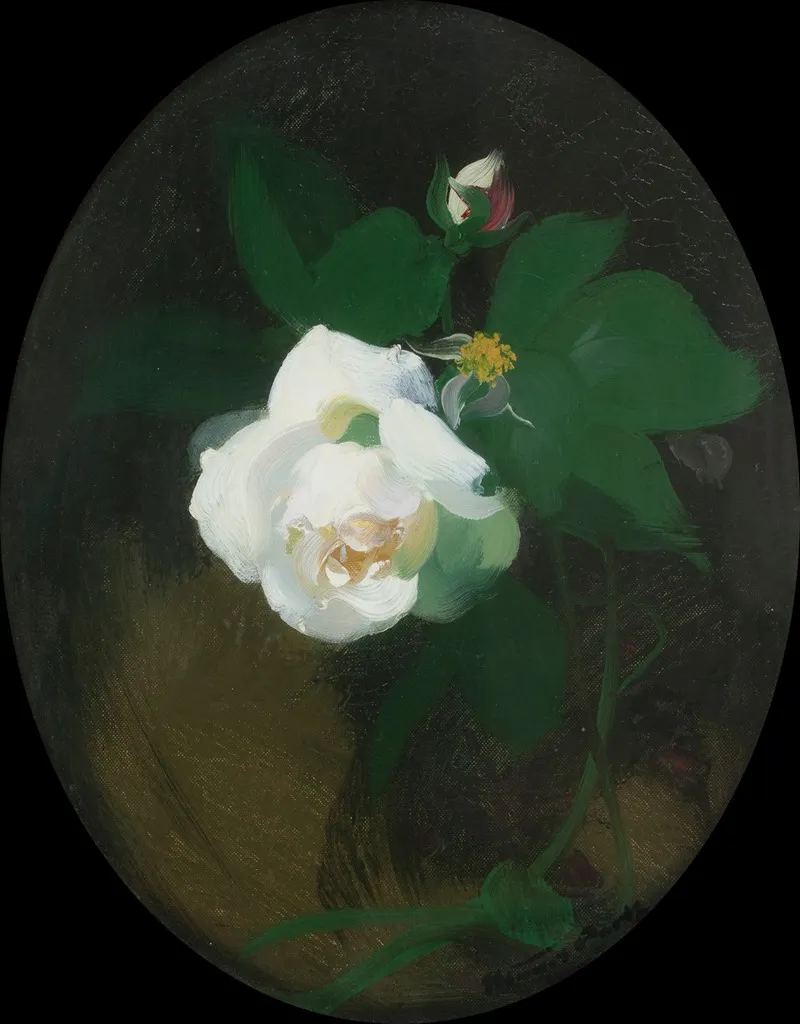 White Rose Wall Art by James Stuart Park - High-Resolution Digital Print