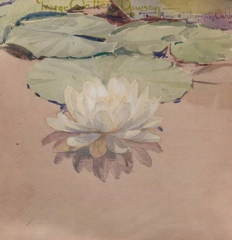 White Water Lily Wall Art by George Walter Dawson - High-Resolution Digital Print