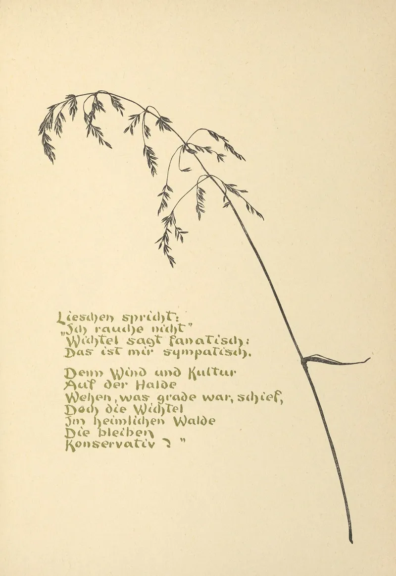 Wichtel Mannchen Pl 43