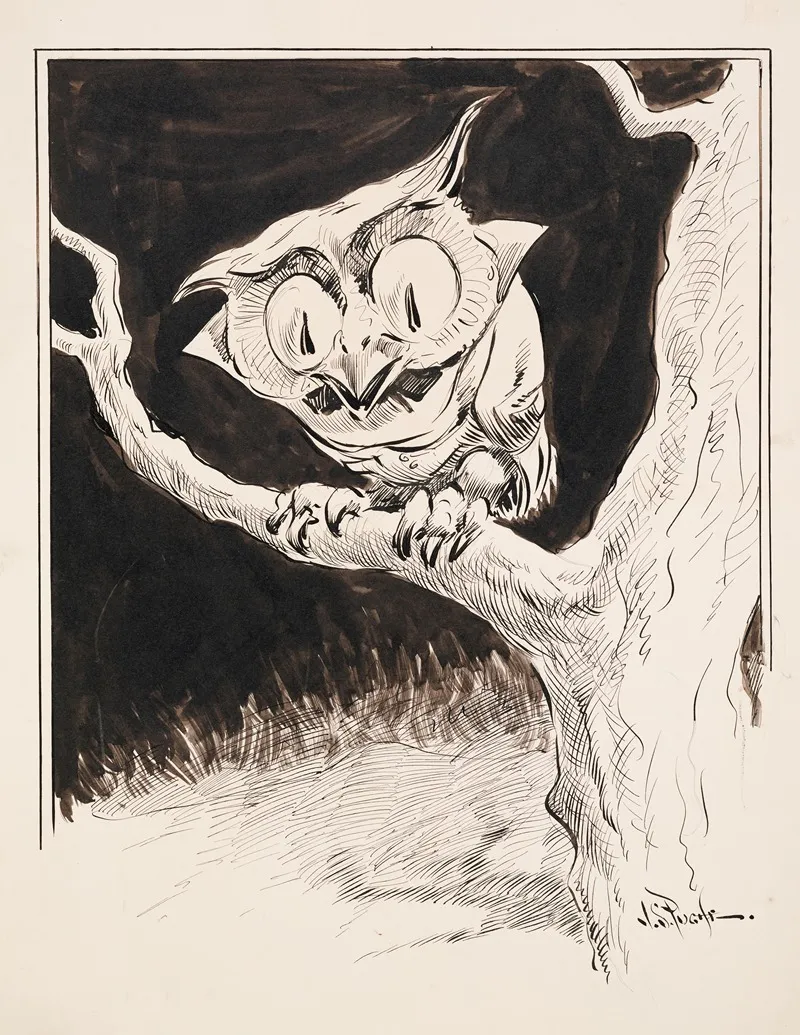 Wide Eyed Owl On Branch