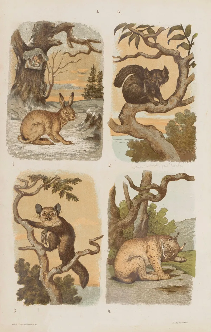 Wielki Atlas Do Zoologii Botaniki I Mineralogii Pl 004 Wall Art by Gustav von Hayek - High-Resolution Digital Print