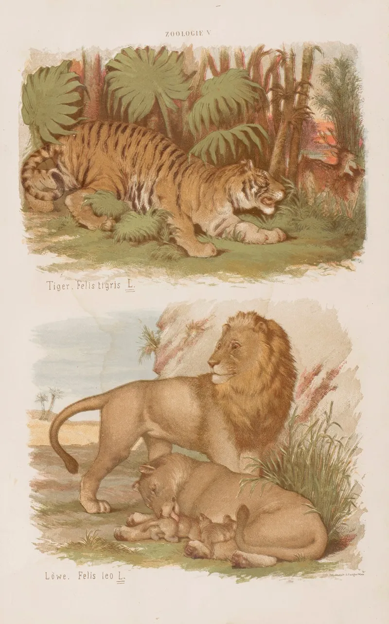 Wielki Atlas Do Zoologii Botaniki I Mineralogii Pl 005 Wall Art by Gustav von Hayek - High-Resolution Digital Print