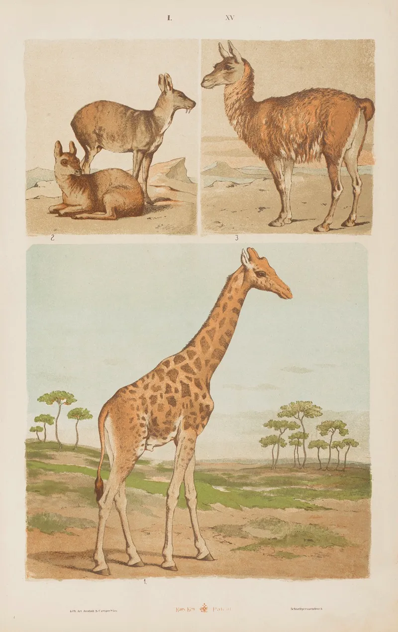 Wielki Atlas Do Zoologii Botaniki I Mineralogii Pl 015 Wall Art by Gustav von Hayek - High-Resolution Digital Print