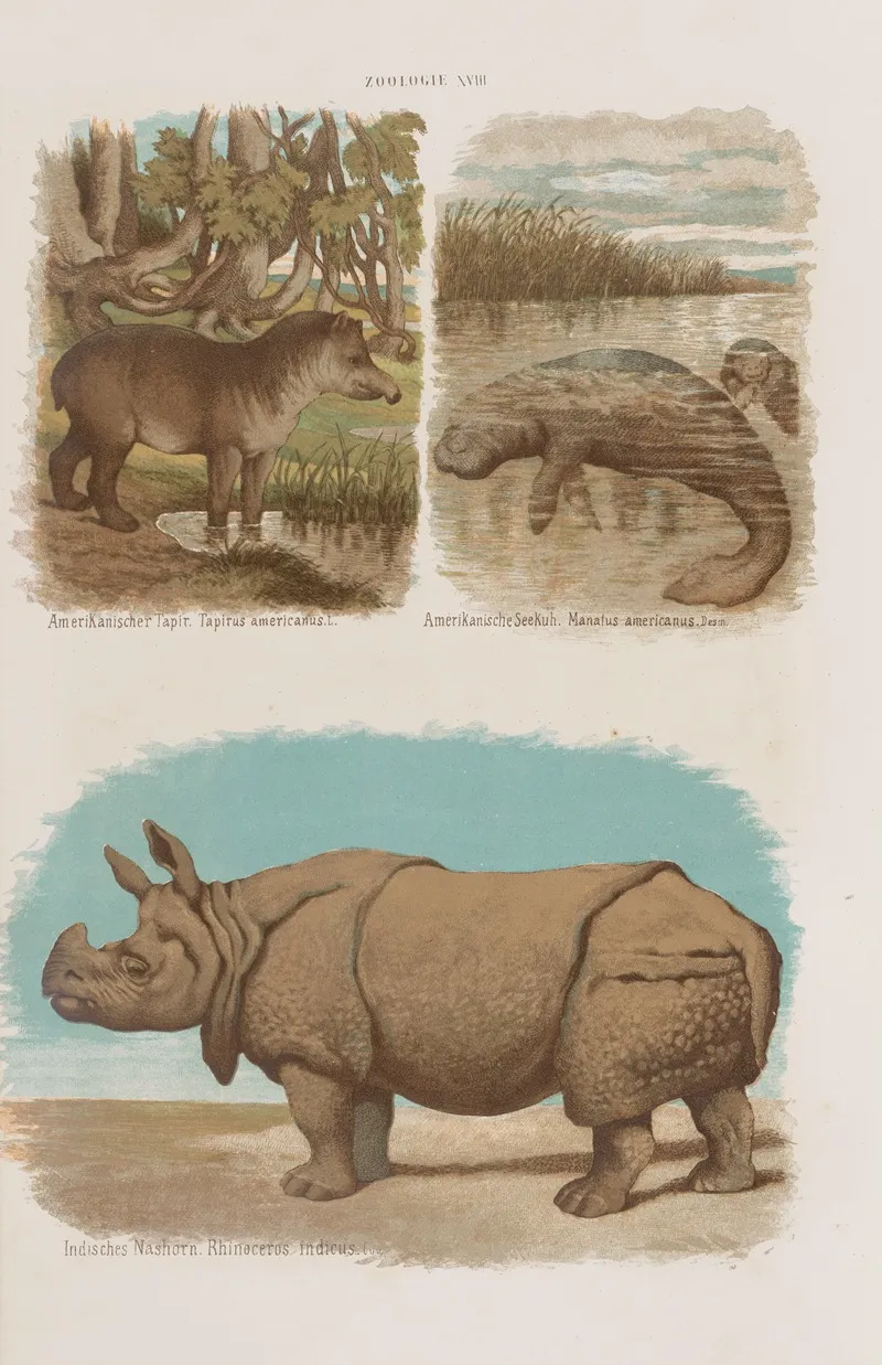 Wielki Atlas Do Zoologii Botaniki I Mineralogii Pl 018 Wall Art by Gustav von Hayek - High-Resolution Digital Print