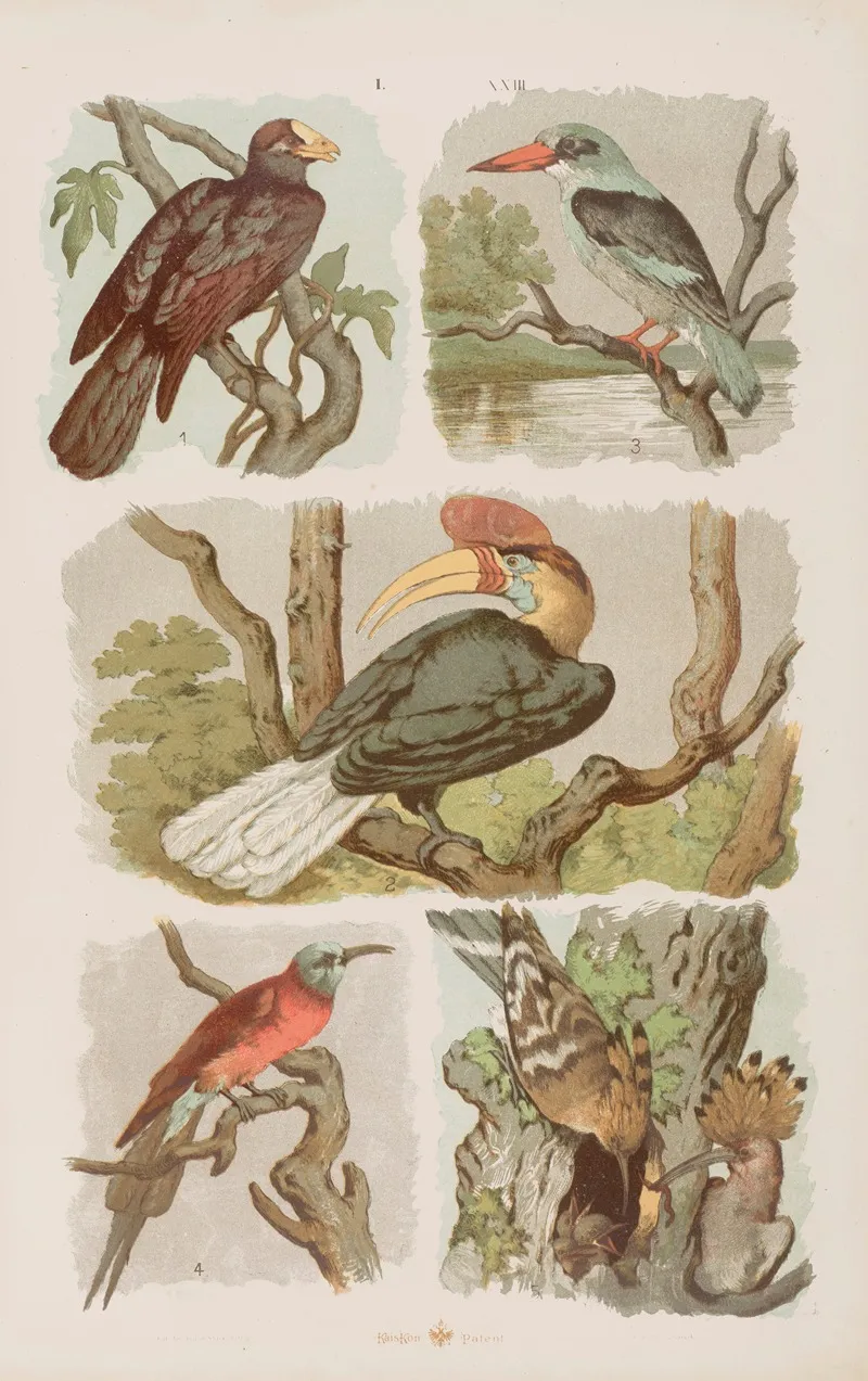 Wielki Atlas Do Zoologii Botaniki I Mineralogii Pl 023 Wall Art by Gustav von Hayek - High-Resolution Digital Print