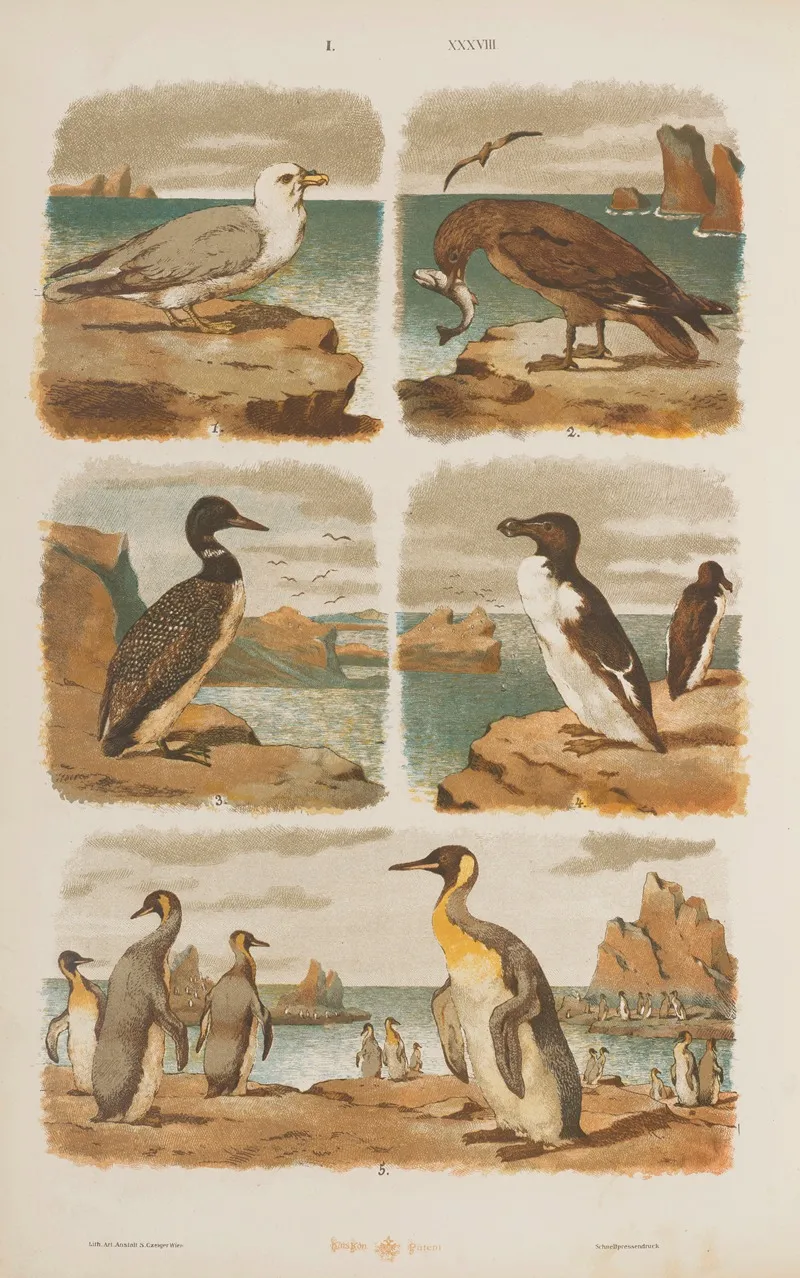 Wielki Atlas Do Zoologii Botaniki I Mineralogii Pl 038 Wall Art by Gustav von Hayek - High-Resolution Digital Print